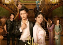 短剧《知许若笙（60集）》短剧免费观看无广告