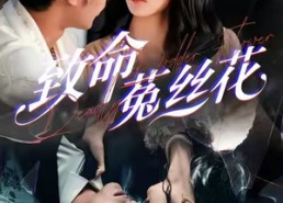 短剧《致命菟丝花（66集）》优质短剧全集免费播