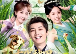 短剧《古代种田，朝廷给我发媳妇（81集）》短剧全集免费在线追番