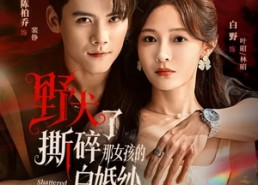 短剧《野犬撕碎了那女孩的白婚纱（78集）》短剧高清全集在线畅享