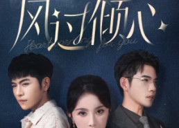 短剧《风过倾心（62集）》热门短剧全集直享