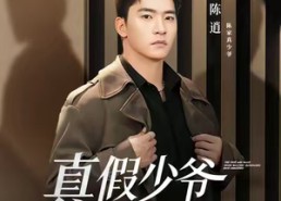 短剧《真假少爷血脉觉醒（63集）》短剧免费全集高清看