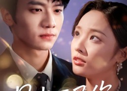 短剧《星光不及你（62集版本）》短剧全集无删减在线观