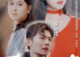 短剧《爱在轮回中错落（32集）》短剧完整版免费播放