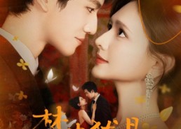 短剧《闻笙知野渡，生死不相负（71集）》免费短剧高清全集观赏