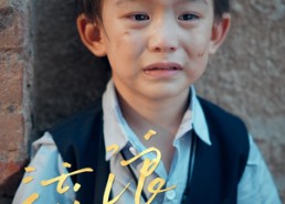 短剧《流浪妈妈（30集）》短剧高清全集免费播放