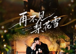 短剧《再不见梨花雪（70集）》短剧完整版免费速看