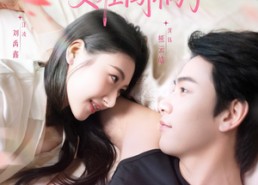 短剧《沈总，夫人又在闯祸了（79集）》短剧完整版免费观赏