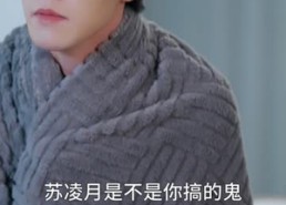 短剧《种因得果，冒牌老公请入局（60集）》免费短剧全集一键观看