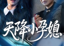 短剧《天降小孕媳（37集）》热门短剧全集免费播