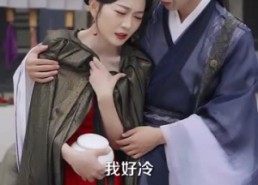 短剧《和离后我宠冠东宫（100集）》超火短剧全集免费享