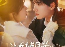 短剧《诱捕月光（100集）》精彩短剧免费全集直看