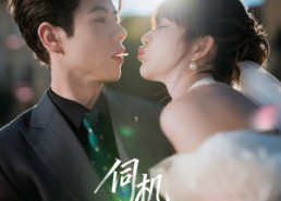 短剧《伺机宠婚（80集）》精品短剧全集免费速看