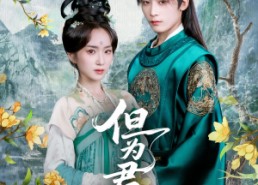 短剧《但为君故（59集）》免费短剧全集畅快追