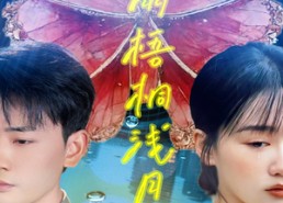 短剧《疏雨梧桐浅月朦胧（50集）》免费短剧全集流畅播放