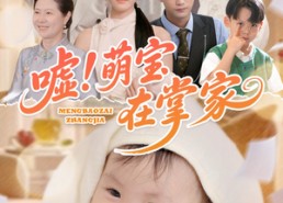 短剧《嘘！萌宝在掌家（45集）》趣味短剧在线品鉴