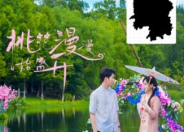 短剧《桃花漫漫始盛开（40集）》免费短剧高清全集观享