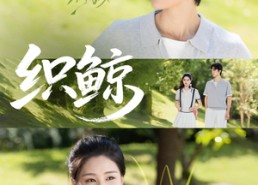 短剧《织鲸（86集）》热门短剧免费全集速览