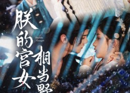 短剧《朕的宫女相当野（62集）》短剧免费全集畅快追