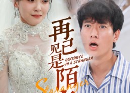 短剧《再见已是陌客（55集）》超清短剧全集免费看