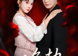 短剧《双鱼劫（68集）》热门短剧完整版观看