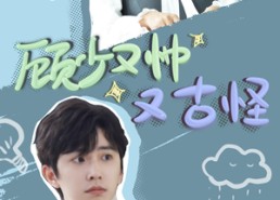 短剧《顾少又帅又古怪（66集）》免费短剧精彩全集观