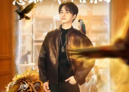 短剧《我一家宠物店，怎么就成御兽宗了（71集）》爆款短剧免费在线赏