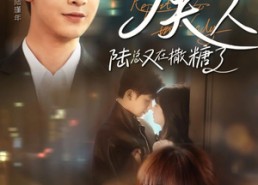 短剧《报告夫人陆总又在撒糖了（69集）》爆款短剧在线畅享