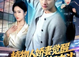 短剧《植物人娇妻觉醒，赘婿老公横扫内斗（80集）》短剧全集免费在线播