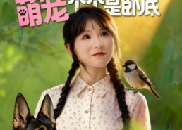 短剧《七零辣妻不好惹萌宠个个是卧底（96集）》超火短剧在线高清看