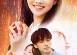 短剧《玫瑰陷入火焰里（60集）》精彩短剧全集免费速览