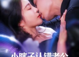 短剧《小瞎子认错老公，糙汉大叔宠上天（100集）》短剧全集免费点播