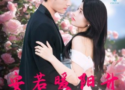 短剧《安若暖阳升（40集）》短剧免费全集任你赏