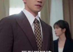 短剧《你这律师不对劲（82集）》好看短剧免费全集观看