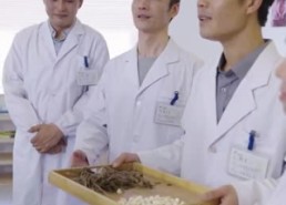 短剧《神医你也敢裁（28集）》短剧全集在线免费览