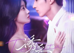 短剧《诱香（30集）》热门短剧免费在线赏