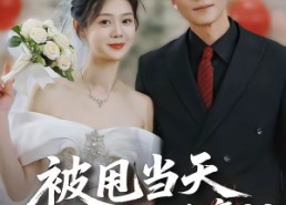 短剧《被甩当天我带崽闪婚豪门（70集）》短剧70集完整免费观赏