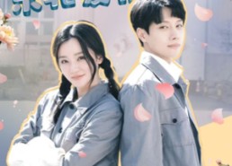 短剧《繁花之东北爱情故事（56集）》短剧全集免费畅快观看