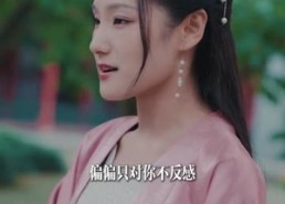 短剧《轮回（100集）》短剧百集完整版畅享