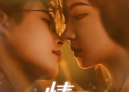 短剧《情动（97集）》短剧高清全集免费直看