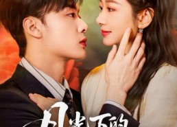 短剧《月光下的千金契（83集）》短剧免费在线全集追