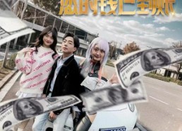 短剧《系统提示您的钱已到账（100集）》爆款短剧全集免费观赏