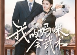 短剧《我的妈咪会武术（60集）》热门短剧免费全集看