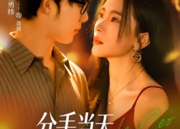 短剧《分手当天，女总裁逼我闪婚了（72集）》短剧全集在线免费畅享