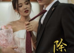 短剧《除却巫山（80集）》优质短剧在线免费赏