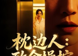 短剧《枕边人：致命操控（48集）》超火短剧全集免费观