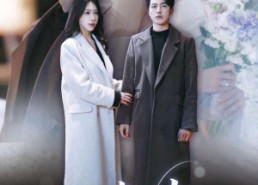 短剧《雪落时你向南飞（34集）》短剧免费在线畅快追