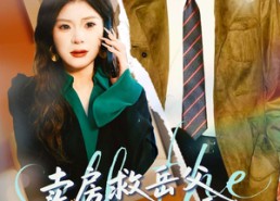 短剧《卖房救岳父，老婆竟然要和我离婚（66集）》短剧完整版免费在线赏