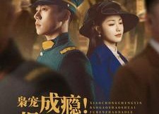 短剧《枭宠成瘾报告少帅夫人找到了（85集）》超火短剧免费畅看