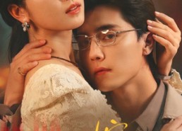 短剧《二嫁（67集）》短剧高清免费完整观看